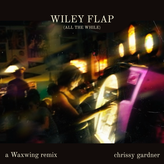 Wiley Flap (All the While) - Single