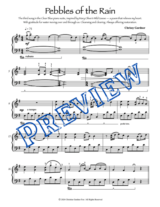 Pebbles of the Rain - Sheet Music